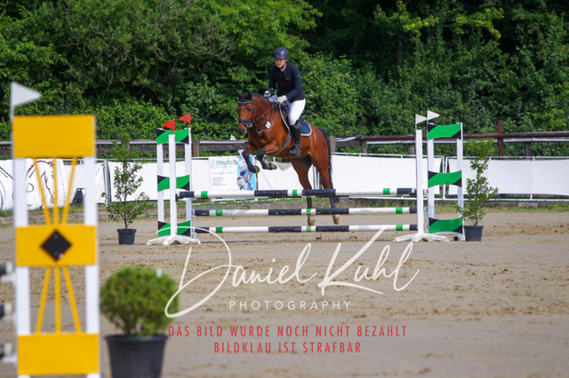 DKP41309 | Turniersportfotografie; Pferdefotografie; Dressurfotografie