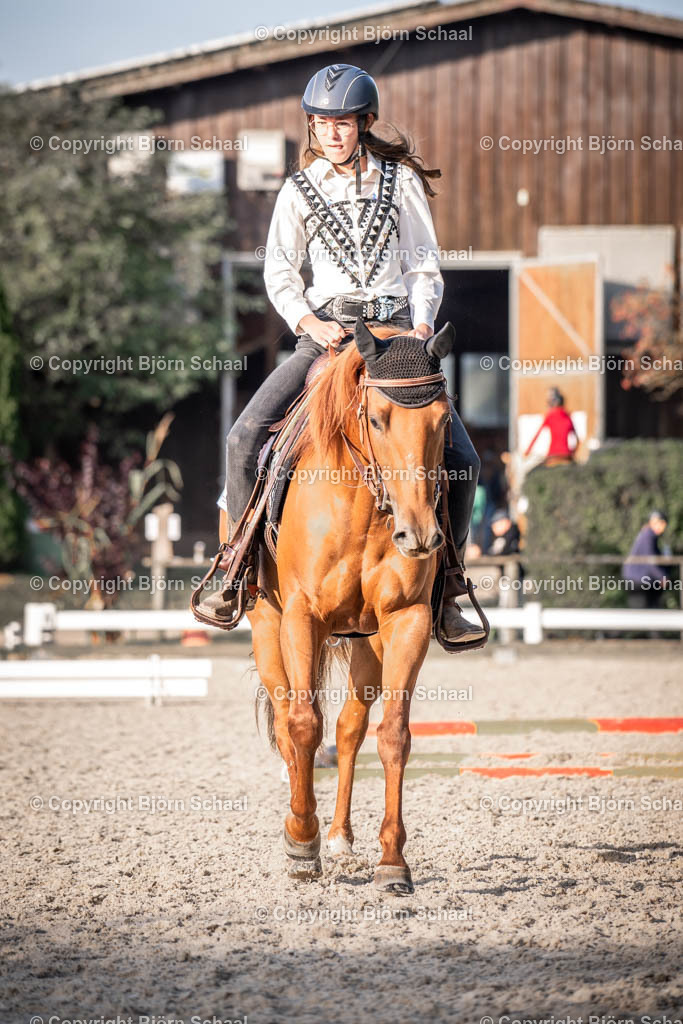 KBB09201 | BS-foto