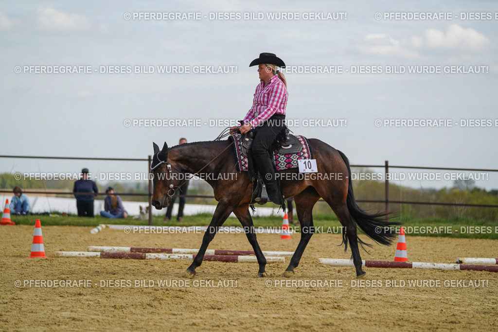 DSC05216 | Pferdegrafie