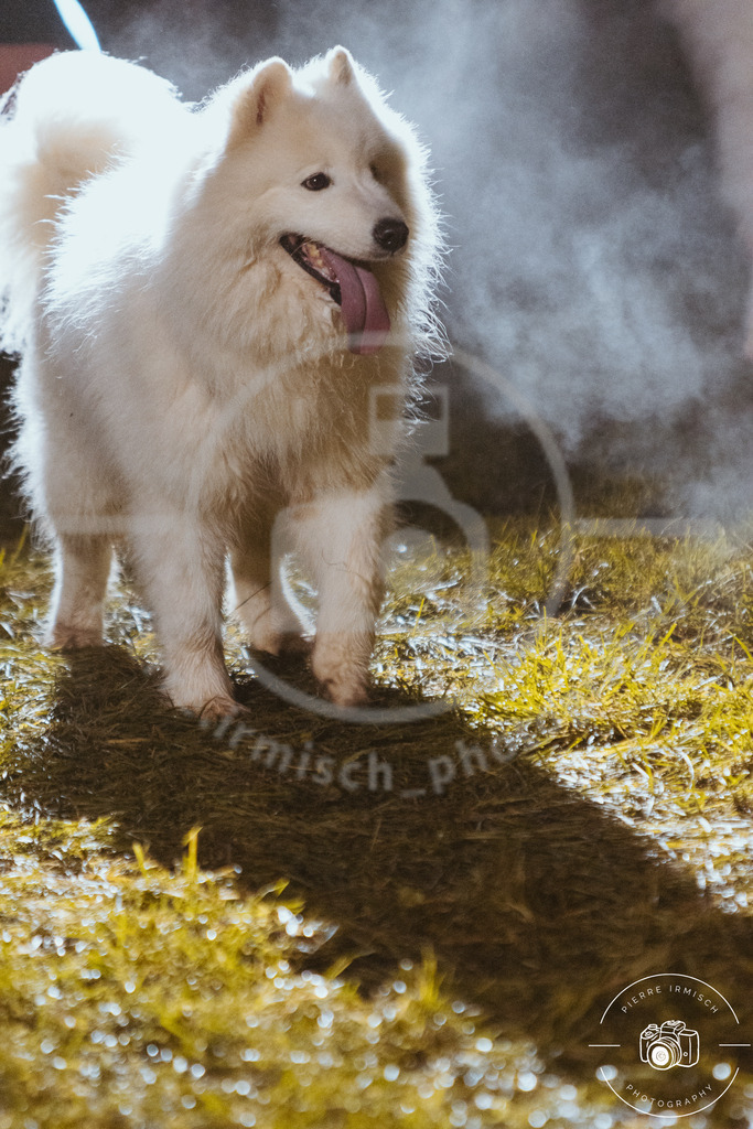 IMG_8607 | pierre-irmisch-photography.de