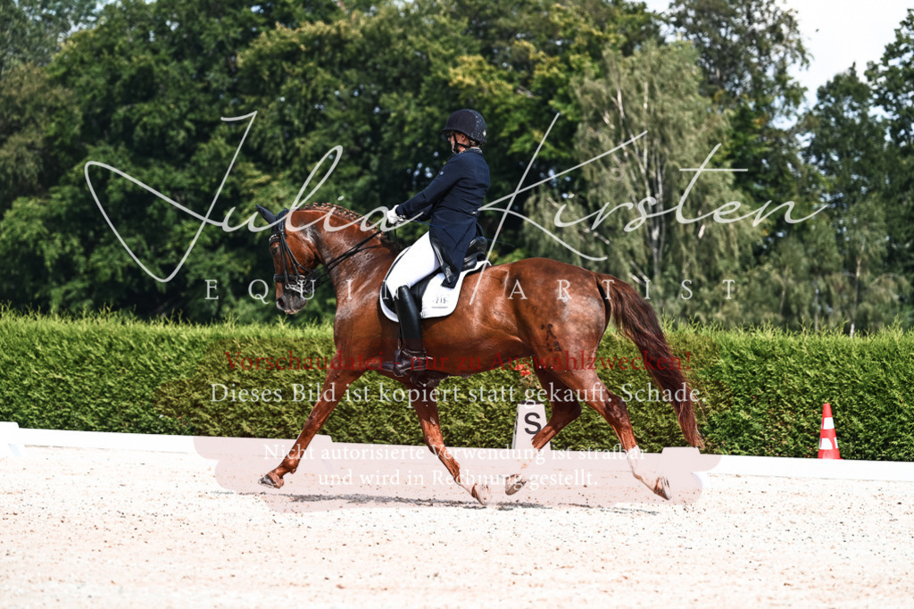 DSC_3193 | Pferde- und Turnierfotografie in Westsachsen. Pferdeportraits, Auftragszeichnungen und intuitive Kunst.