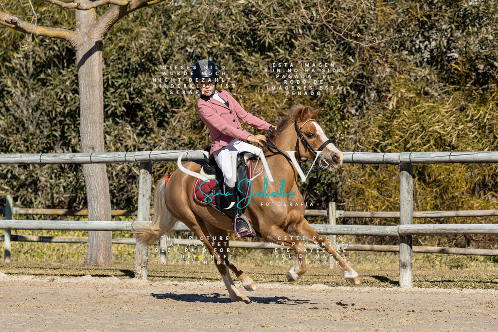 IMG_8756 | s-jay-photography - Realisiert mit Pictrs.com