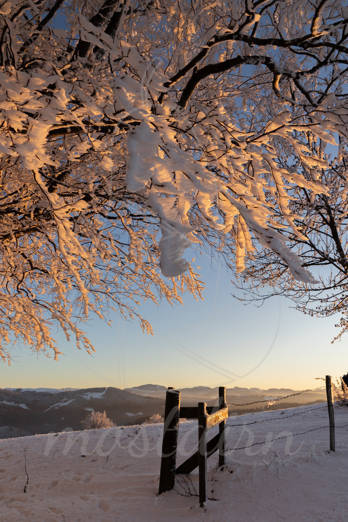 Winter am Hochkogelberg | Ihre Fotografin im Lungau, ihre Fotografin im Mostviertel, Wandbilder Onlineshop, Imagefotos für Ihr Unternehmen,  - Realisiert mit Pictrs.com