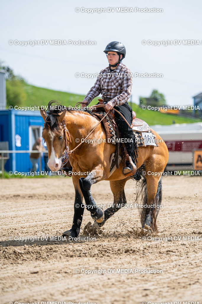 Heiligenwald Tag 3-813 | dv-media-shop - Realisiert mit Pictrs.com