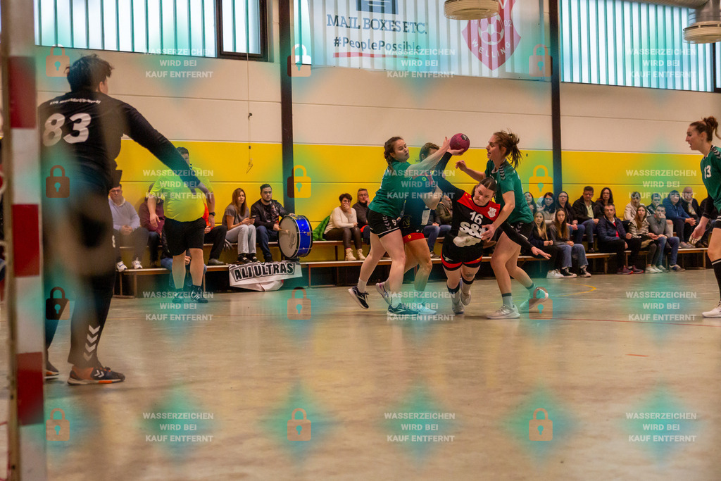 _HP_8012_3000o | TV Welling Damen vs. HSG Mertesdorf/Ruwertal 24.02.2024