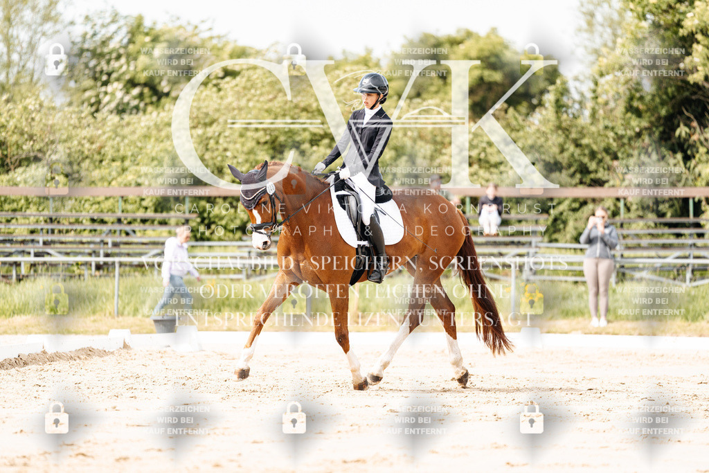 CK901091 | Turnierfotografie Pferdefotografie Trier Rheinland-Pfalz Pferdesport Reitsport Tierfotografie Sportfotografie Pferdevideo Pferdevideografie Equestrianvideography equestrianphotography  - Realisiert mit Pictrs.com