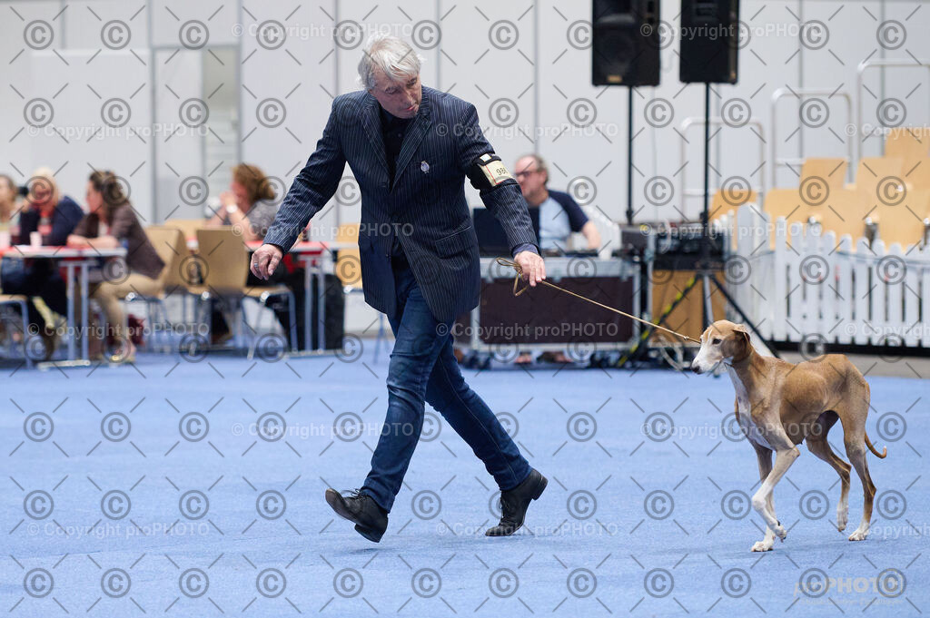 202406_ÖKV-IHA-Tulln24_DSC_3244 | proPHOTO - Realisiert mit Pictrs.com