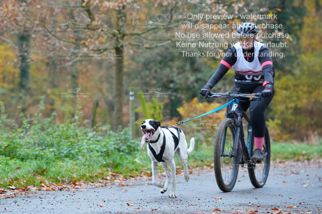 Bike_So-75 | stephaniefillaphotographie - Realisiert mit Pictrs.com