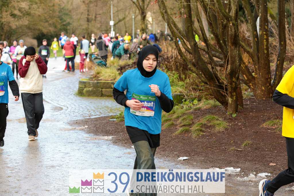 39. 3Koenigslauf 2025 | 20250106_3koenigslauf - Realisiert mit Pictrs.com