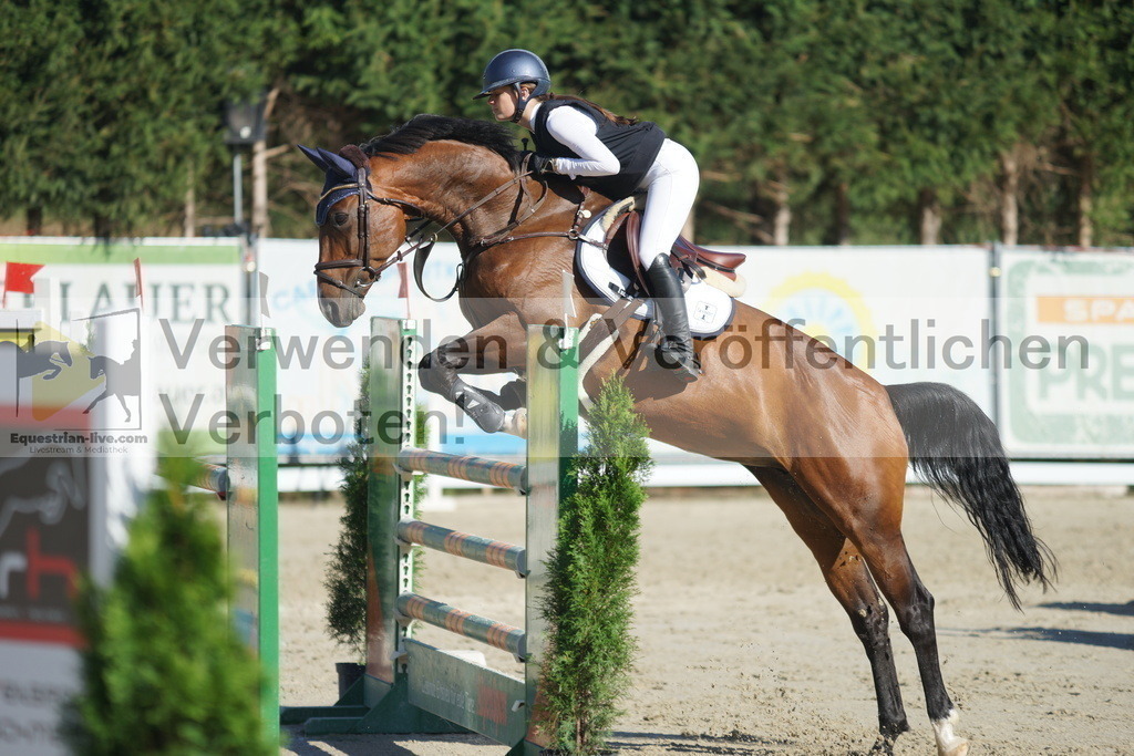DSC01231 | equestrian-live-com