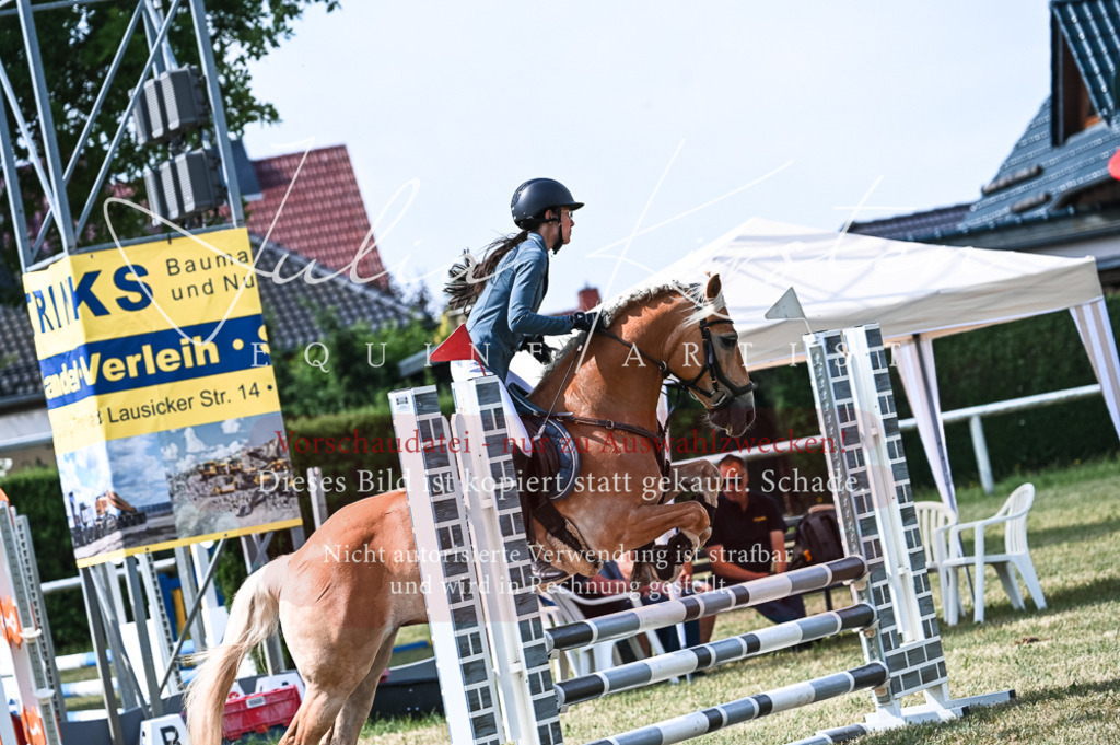 DSC_8793 | Pferde- und Turnierfotografie in Westsachsen. Pferdeportraits, Auftragszeichnungen und intuitive Kunst.