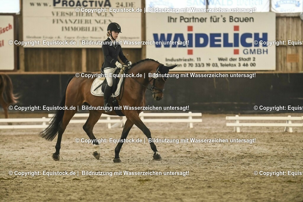 20231029_05_Dressur-A_0099 | Foto: Thomas Hartig