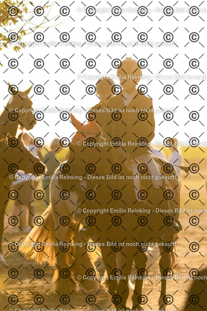 CL5A0706 | Emilia Reinking Fotografie - Realisiert mit Pictrs.com