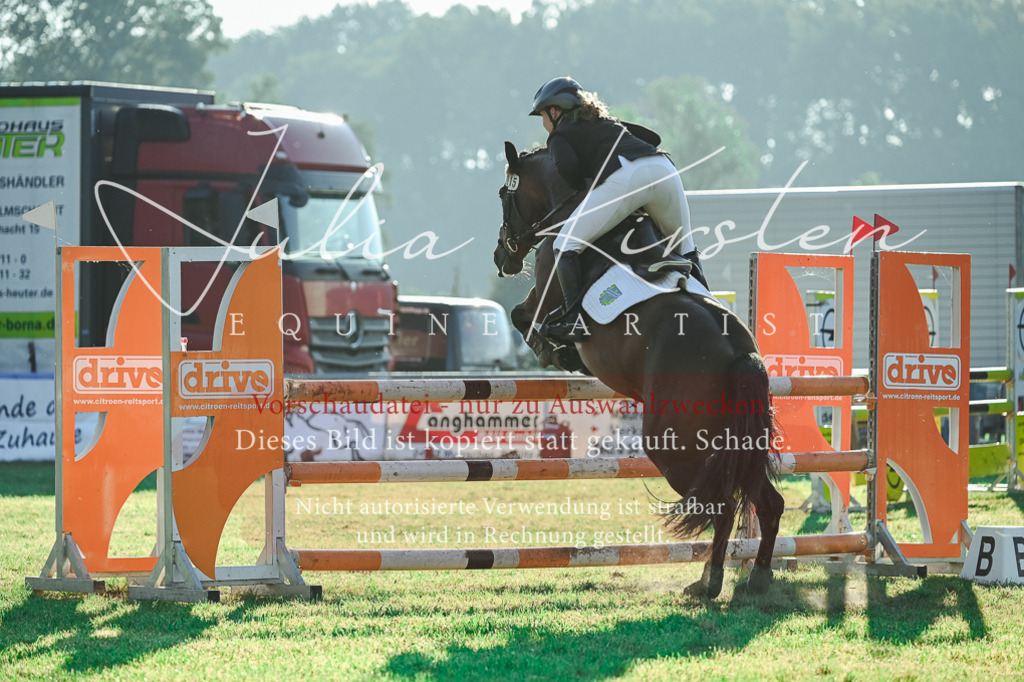 DSC_4282 | Pferde- und Turnierfotografie in Westsachsen. Pferdeportraits, Auftragszeichnungen und intuitive Kunst.