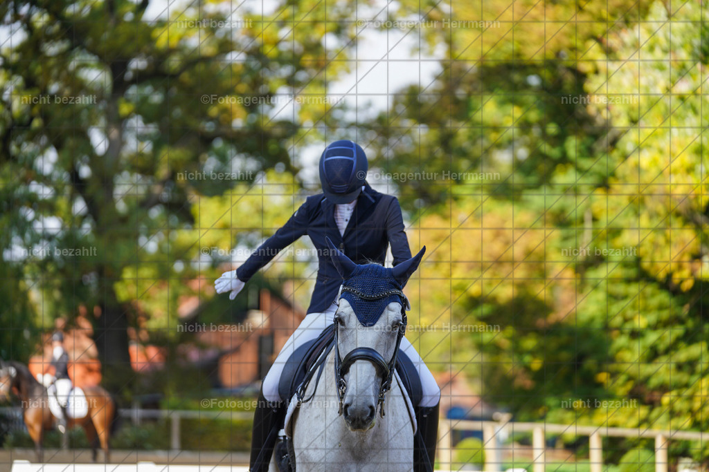 20221007-FAH00077 | Diessen am Ammersee, 2022, Dressur- und Springturnier, Reitsportbilder, Turnierfotografen Bayern, Pferdefotografen, Fotoagentur Herrmann, Turnierbilder