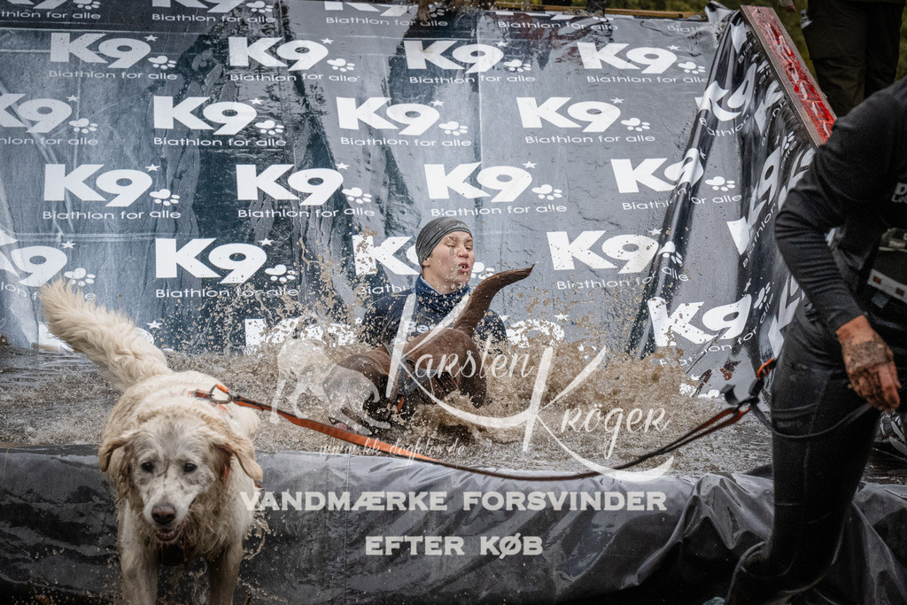 1152_ZZ93716 | kk-dogfotos
