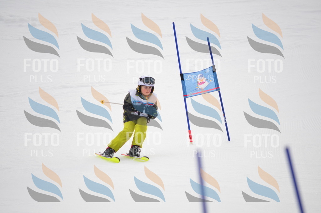 C0010 | holidayphoto