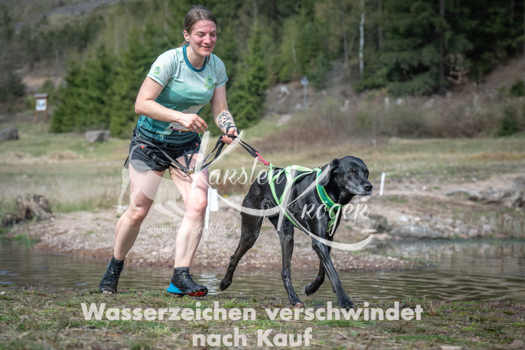 1110_ZZ93255 | kk-dogfotos