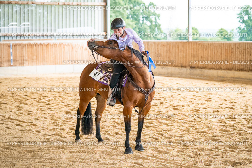 DSC07597 | Pferdegrafie