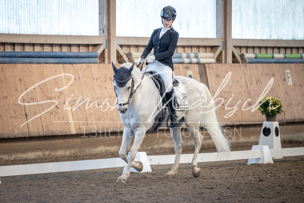 20251011-_3LI7051 | Tierfotografie Pferde, Hunde, Katzen, Haustiere.
Turnierfotografie Reitturniere, Reiten, Springreiten, Dressur in Hanau, dem Main-Kinzig-Kreis und dem Rhein-Main- Gebiet um Frankfurt