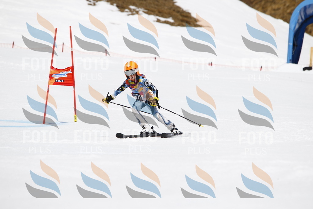 _U3G6853 | holidayphoto