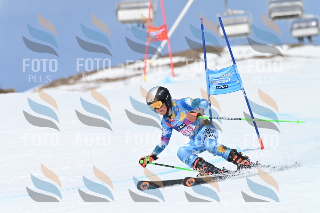 BGV_3010 | holidayphoto