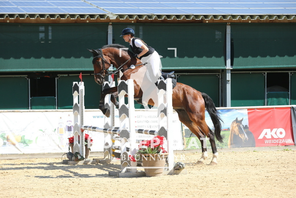 DL2Q5302 | Willkommen bei Brunnmayr - Design & Fotografie – Ihrem Spezialisten für Reitturniere und Pferdeveranstaltungen in Oberösterreich, Salzburg und Bayern! Seit über 17 Jahren sind wir leidenschaftlich dabei.