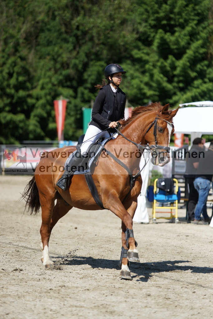 DSC06185 | equestrian-live-com