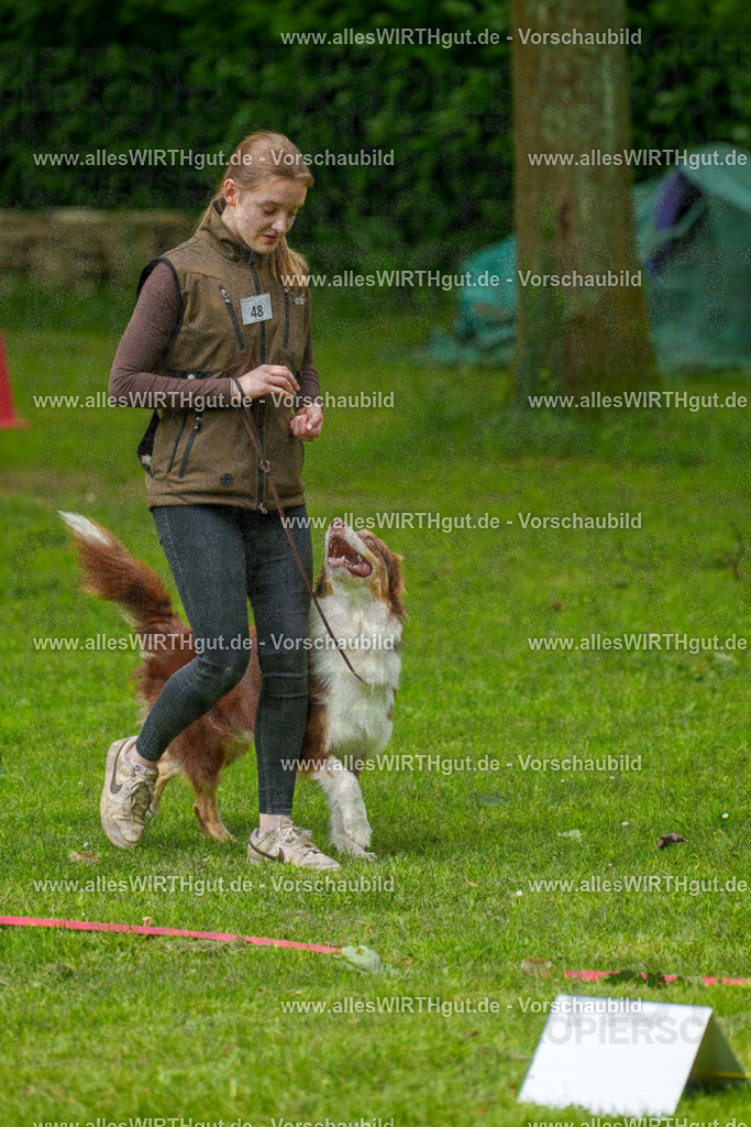 @allesWIRTHgut_Tierfotografie - www.allesWIRTHgut.de - 7R500495 | Professionelle Tierfotografie in Mönchengladbach von Daniel Wirth (allesWIRTHgut). Liebevolle & natürliche Bilder von Hunden & Katzen für unvergessliche Erinnerungen.