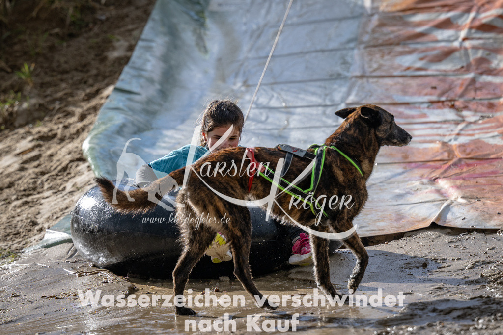 1547_ZZ91333 | kk-dogfotos