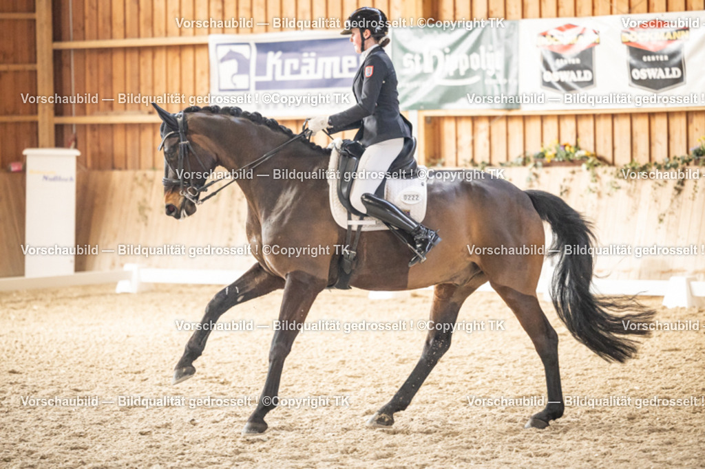 _D5A9286 | Emotionale Pferde- & People-Fotografie rund um Heidelberg, Leimen & Umgebung. Natürliche Fotos von Pferd, Mensch & Familie. Jetzt Termin sichern!