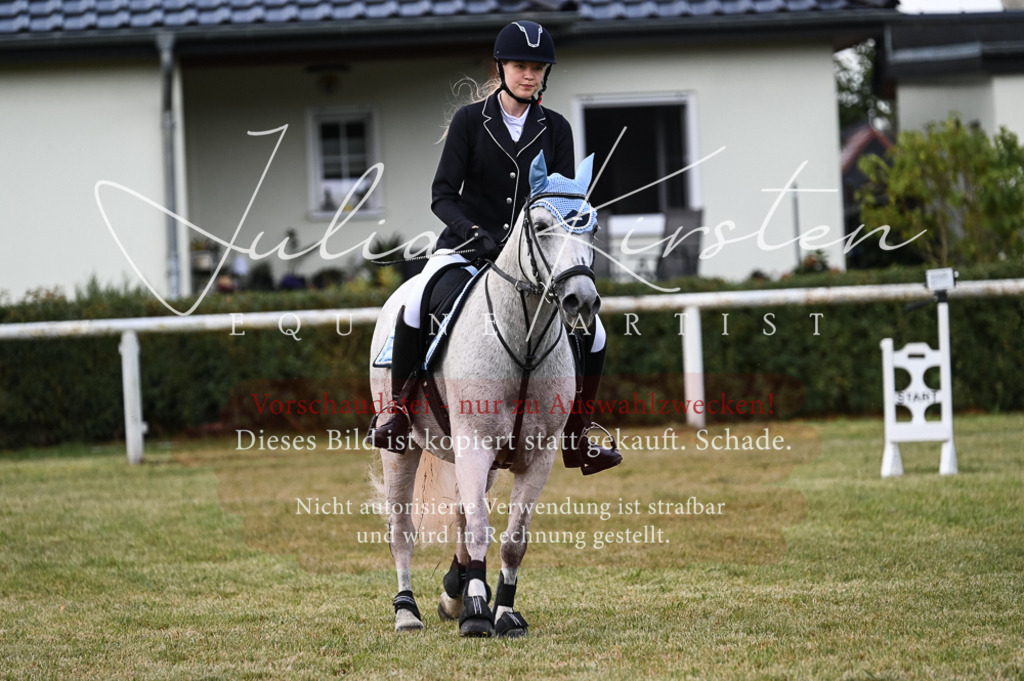 DSC_5518 | Pferde- und Turnierfotografie in Westsachsen. Pferdeportraits, Auftragszeichnungen und intuitive Kunst.