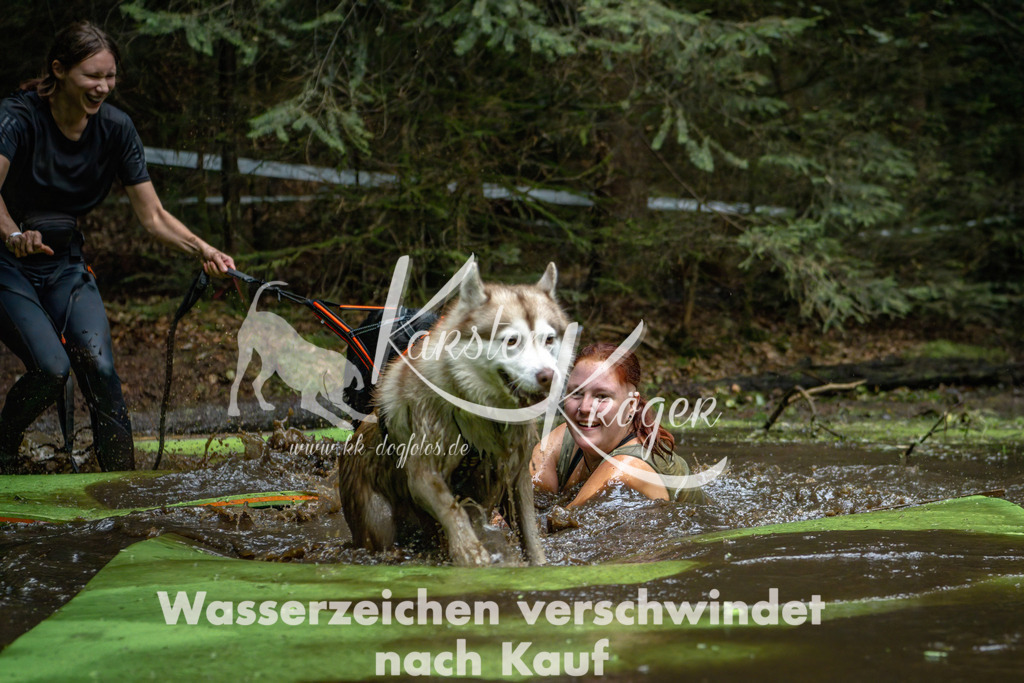 1548_ZZ92055-Bearbeitet | kk-dogfotos