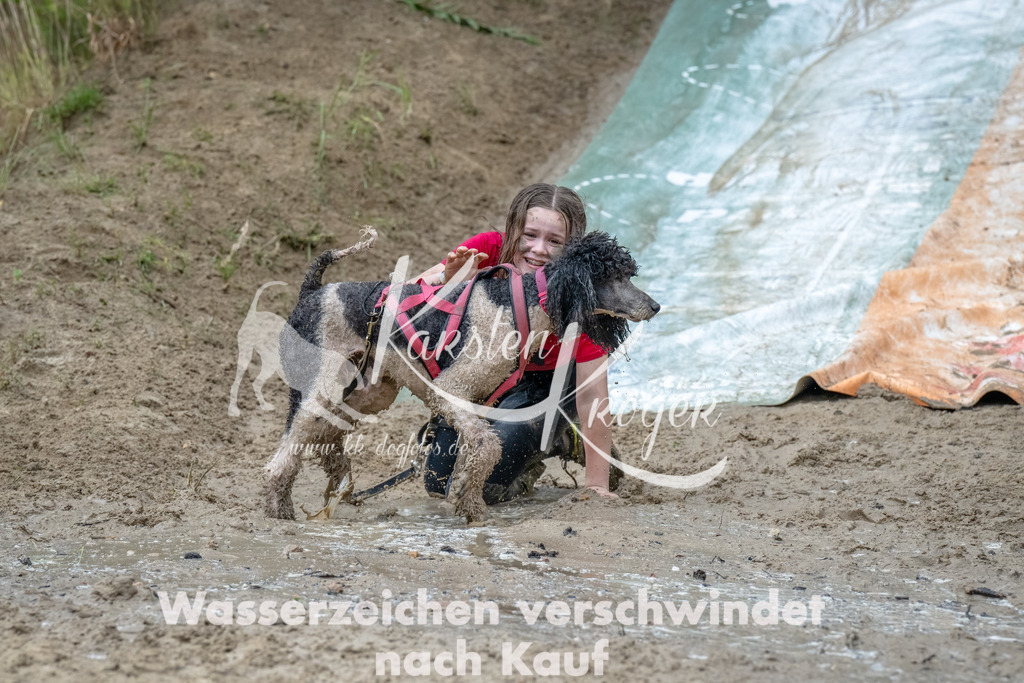 1249_ZZ90180-Bearbeitet-2 | kk-dogfotos
