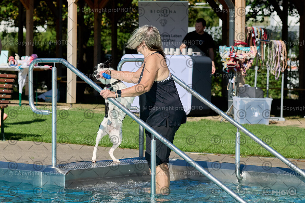 025_202509_4Hundebadetag_NZ9_2111 | proPHOTO - Realisiert mit Pictrs.com