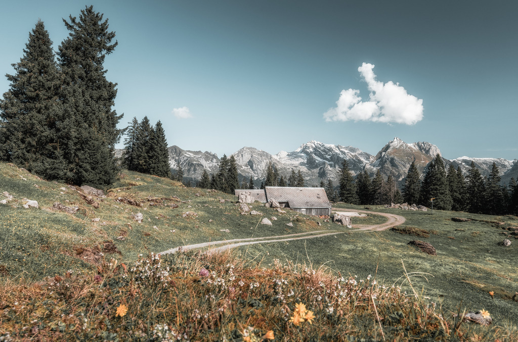 Toggenburg mit Alpstein | Blick von der Sellamatt auf den Säntis - Realisiert mit Pictrs.com