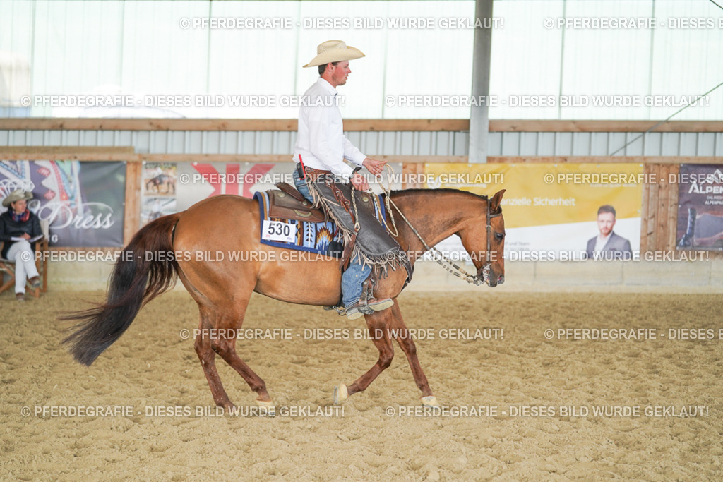 DSC00776 | Pferdegrafie