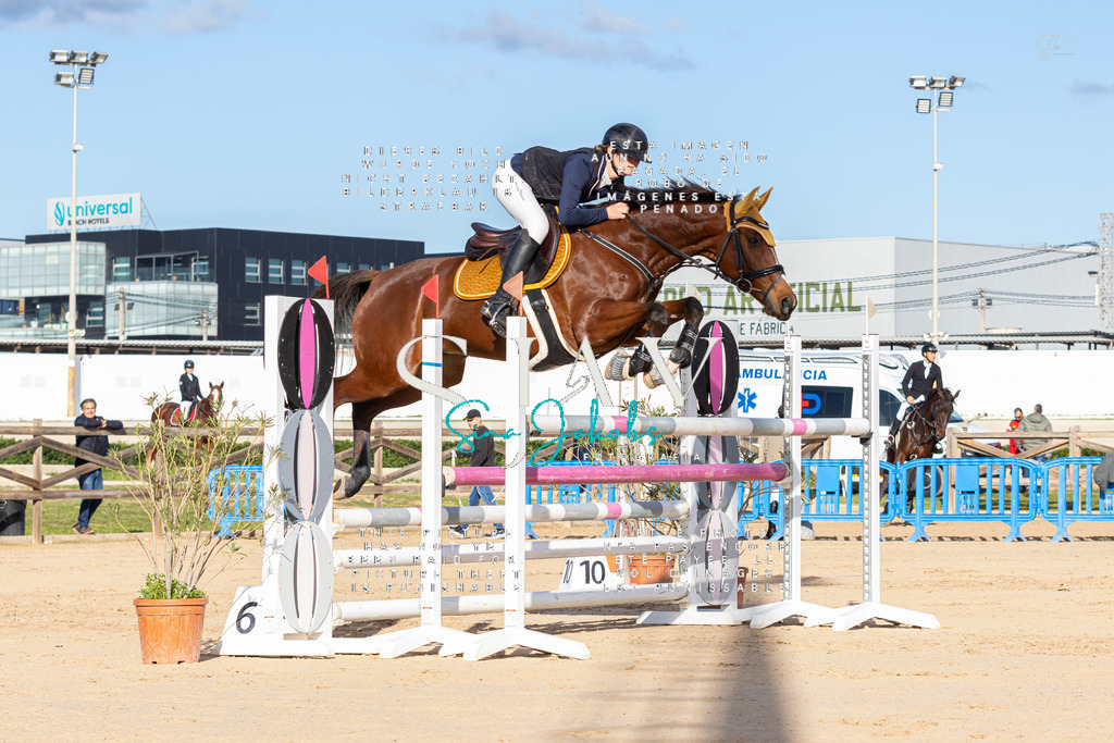 IMG_1597 | s-jay-photography - Realisiert mit Pictrs.com