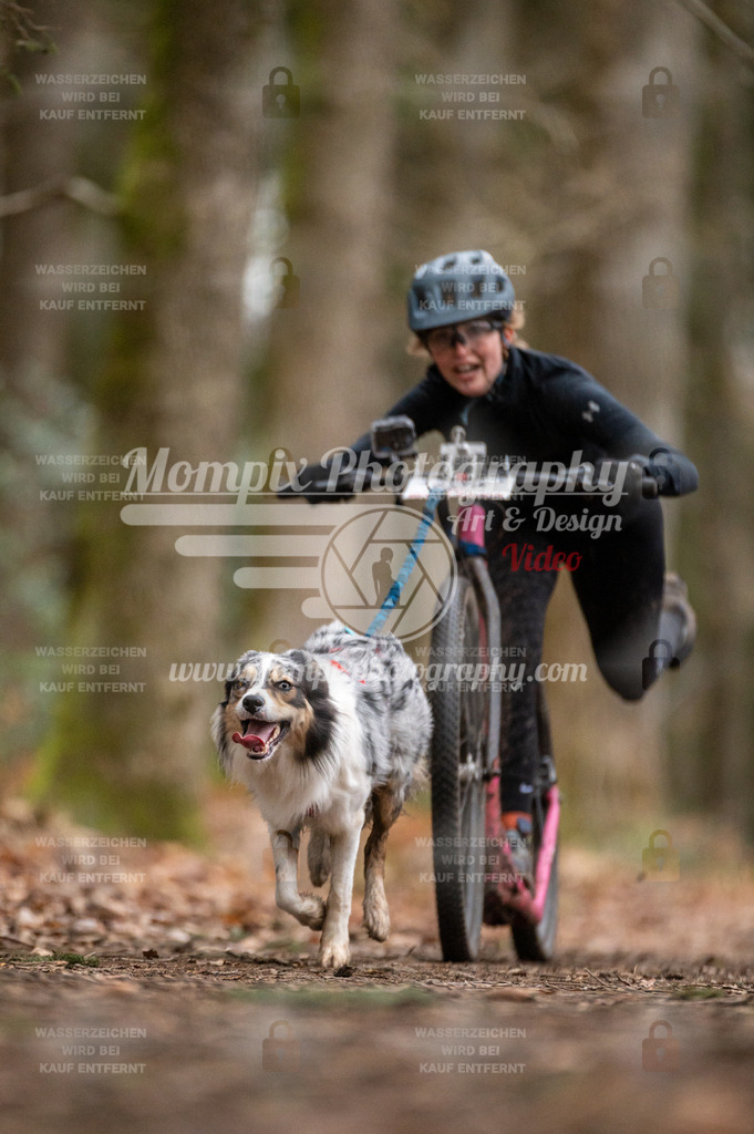SPA_2023_DIM_Scooter-38 | PayLife