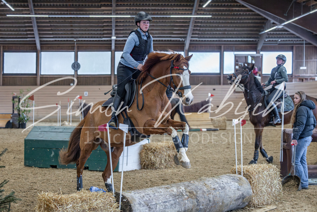 20260221-_3LI0052 | Tierfotografie Pferde, Hunde, Katzen, Haustiere.
Turnierfotografie Reitturniere, Reiten, Springreiten, Dressur in Hanau, dem Main-Kinzig-Kreis und dem Rhein-Main- Gebiet um Frankfurt