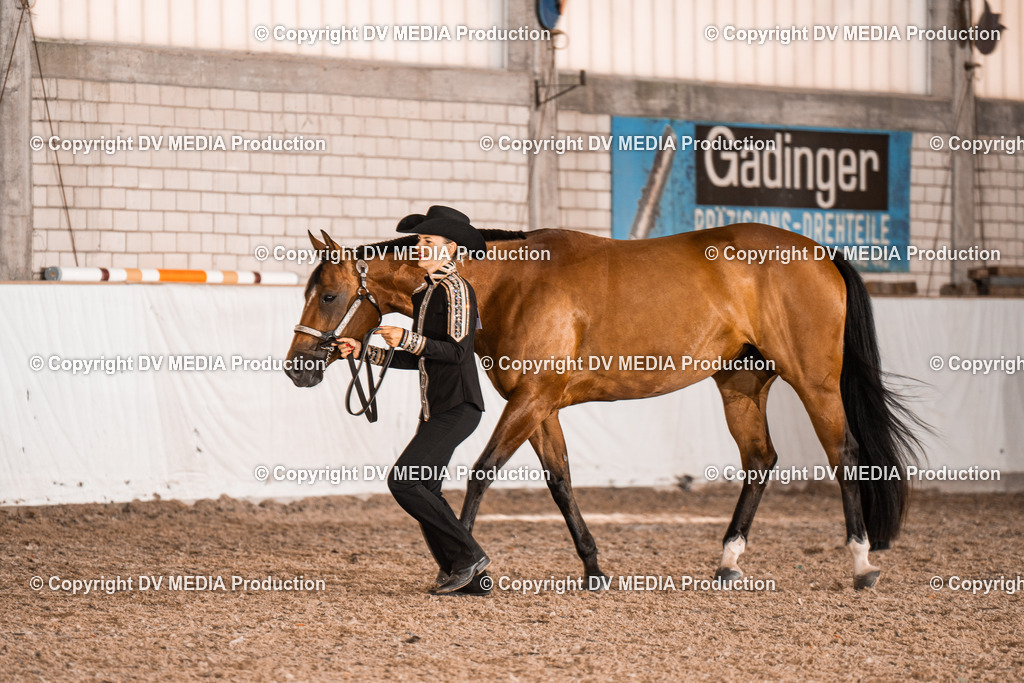 ZH200255 | dv-media-shop - Realisiert mit Pictrs.com