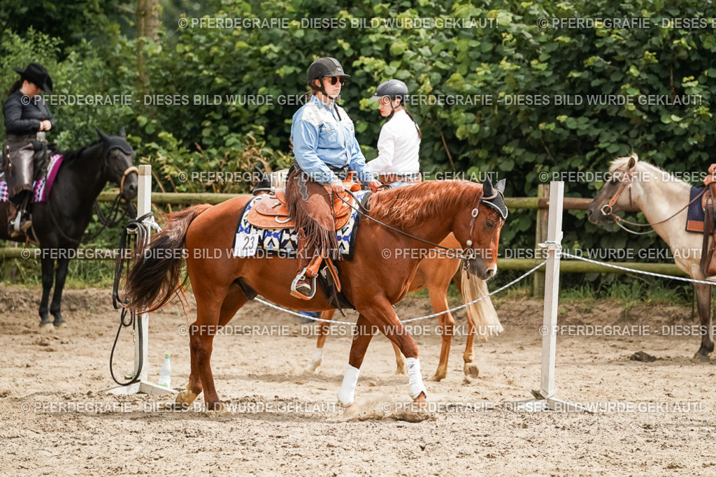 DSC00030 | Pferdegrafie