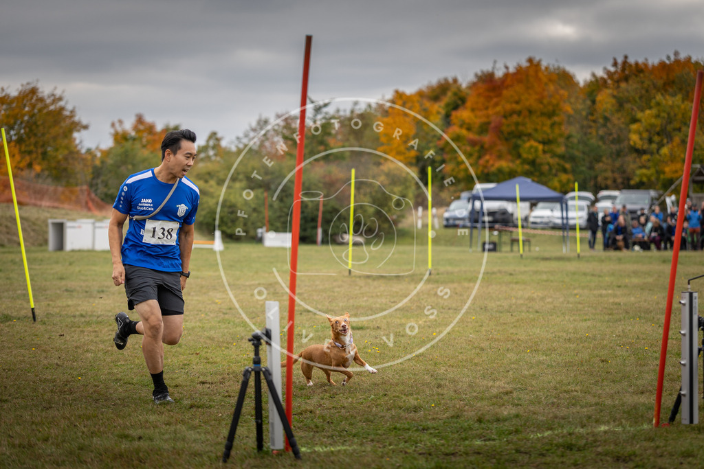 Pfotenfotografie_DV3A8221 | Hundefotografie, Tierfotograf, Pfotenfotografie, Fotoshooting Hund, Hunde Portrait, Hundesport, Hundeportraits, Heideshooting, Hunde, Sportfotograf, Hundefotograf, Turnierhundsport, THS,  - Realisiert mit Pictrs.com