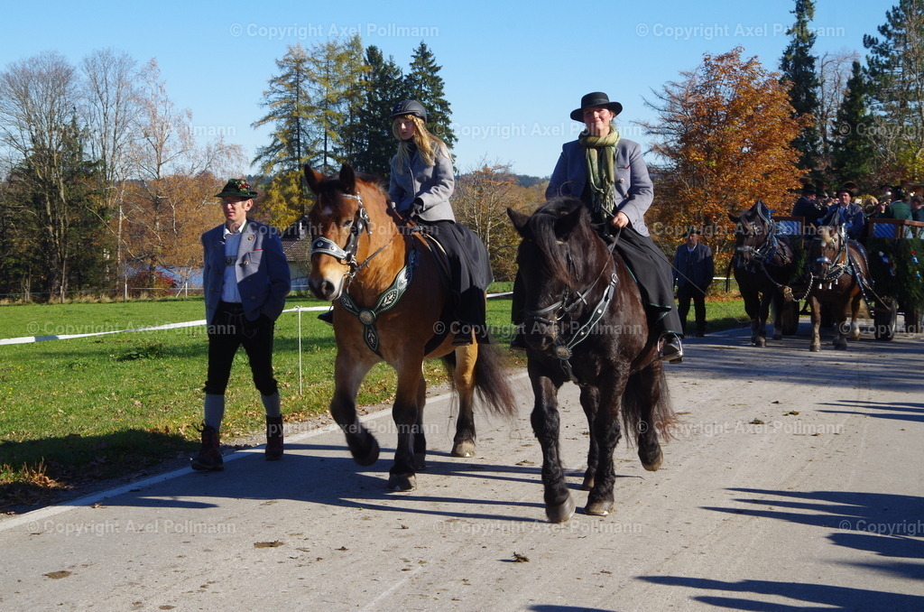 IMGP8499 | fotografiert von Axel PollmannLeonhardi Wallfahrt Benediktbeuern und Murnau, Fronleichnam, Fasching, Landschaft im Loisachtal und Benediktbeuern  - Realisiert mit Pictrs.com