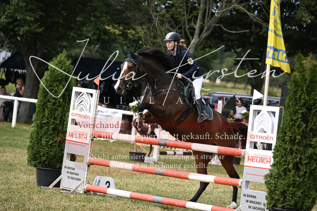 DSC_0603 | Pferde- und Turnierfotografie in Westsachsen. Pferdeportraits, Auftragszeichnungen und intuitive Kunst.