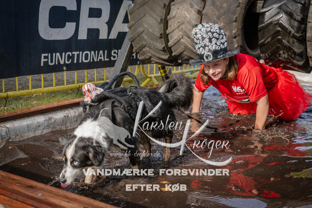 1413_ZZ94175 | kk-dogfotos