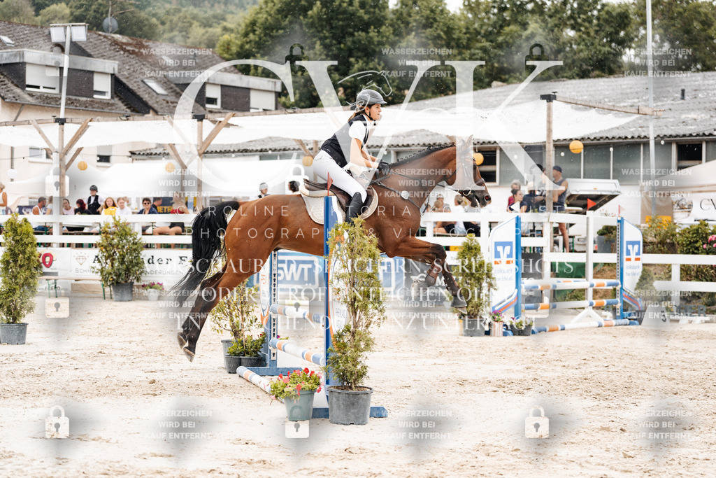 CK908540 | Turnierfotografie Pferdefotografie Trier Rheinland-Pfalz Pferdesport Reitsport Tierfotografie Sportfotografie Pferdevideo Pferdevideografie Equestrianvideography equestrianphotography  - Realisiert mit Pictrs.com