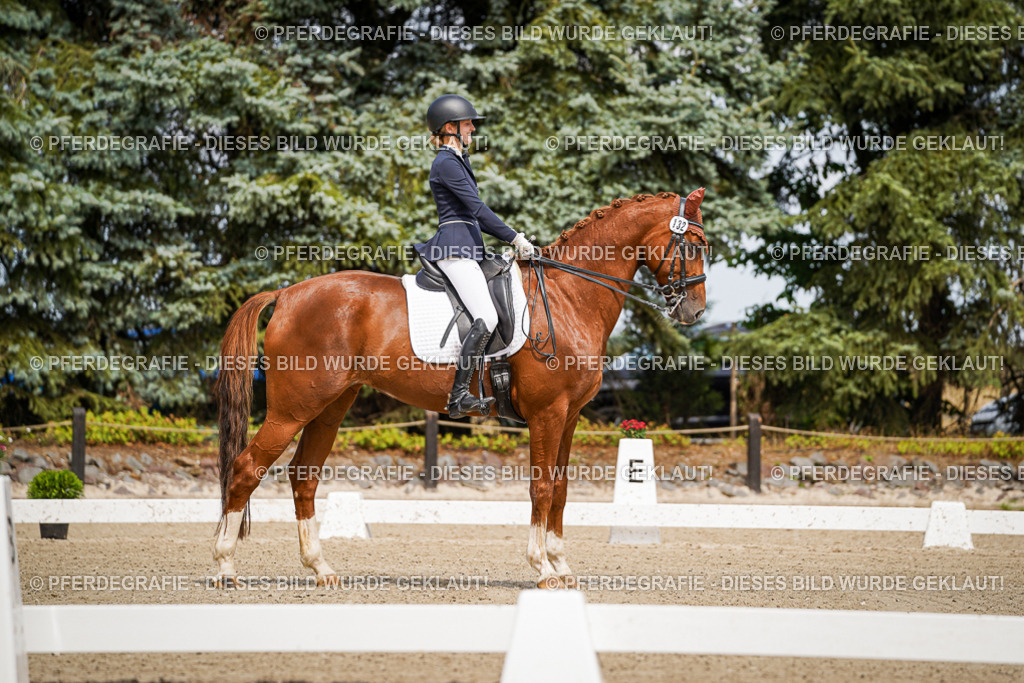 DSC04764 | Pferdegrafie