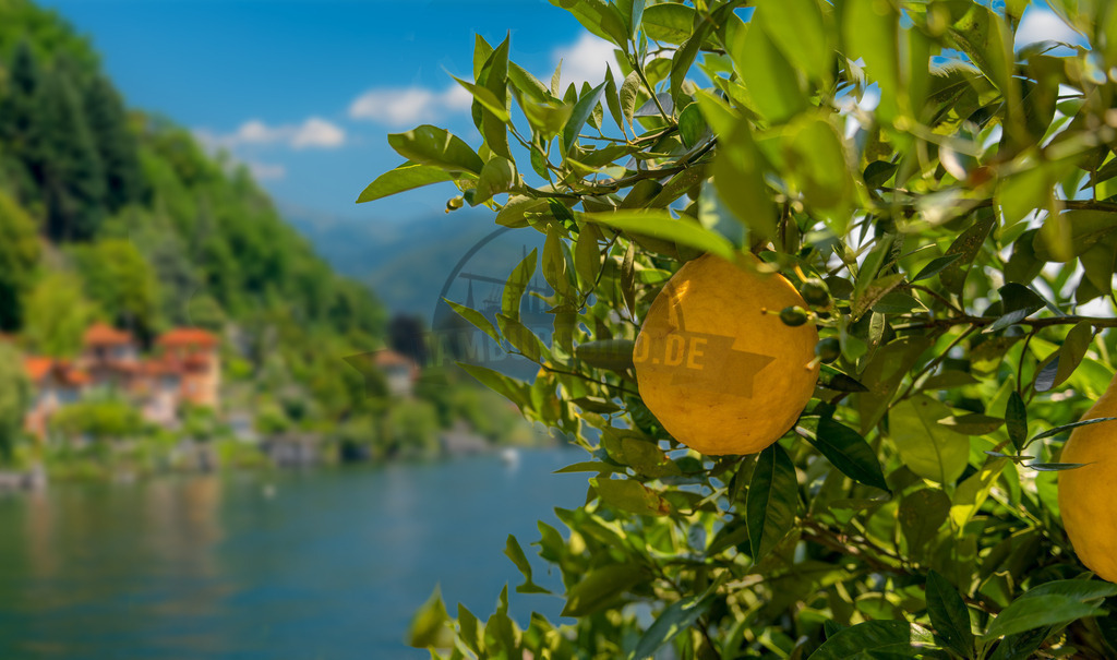 stativkunst-513 | Exklusive Hamburg collagen, tolle Segelbilder und viele weitere tolle Motive auf Leinwand, Poster, Alu-Dibond, u.v.m. findet Ihr bei uns auf hamburgbild.de. Findet Euer Wandbild für Euer Zuhause, Büro oder die  Praxis…. - Realisiert mit Pictrs.com