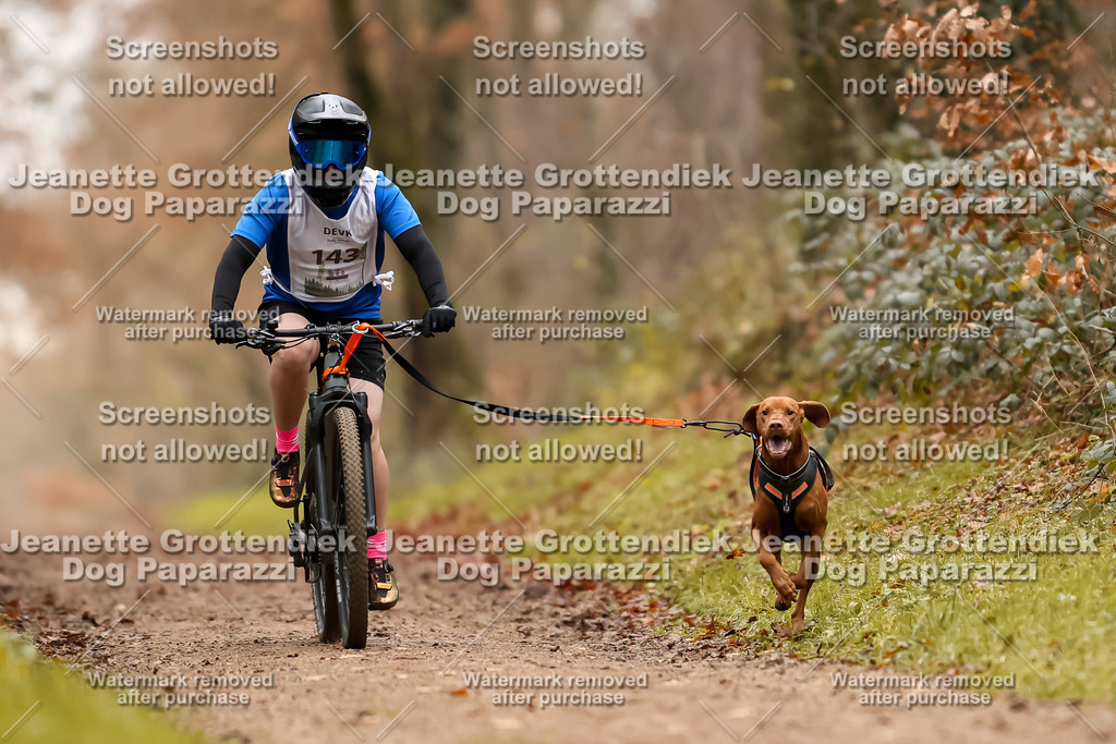 Dog Paparazzi - Speedhunter Mannheim  2025-399 | Dog Paparazzi Jeanette Grottendiek Fotografie & Videografie
